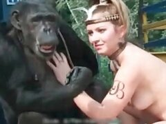 Fisting bestiality xxx