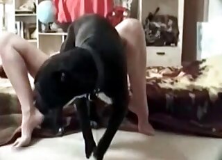Hot slut is happy to spread her legs wide open to get dog's dick inside