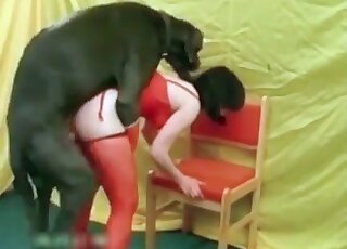 Asian slut can't get enough of passionate fucking from her big black dog