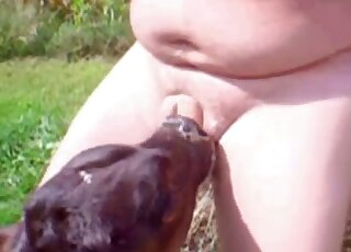 Chubby due throat-fucking a farm animal in an outdoor zoo scene