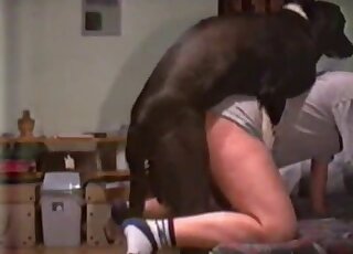 Incredible doggystyle fuck scene with a black beast and a zoophile