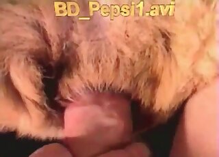 Sexy brown dog licks that penis in POV and then gets creampied
