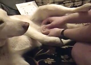 Fingering and big dick insertion with a white dog and its hung owner