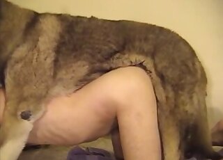 Sexy animal fucking a zoophile booty in a doggystyle position brutally