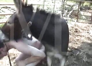 Pale dude bends over to take this pony's cock out in the open