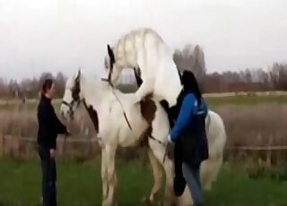 Awesome porn movie with a white horse that exposes its naughty bits