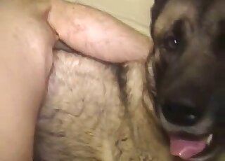 Dude whips out his massive cock to fuck a dog's vagina brutally