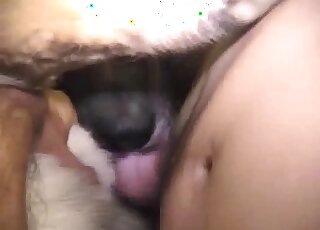 Dude whips out his massive cock to fuck a dog's vagina brutally