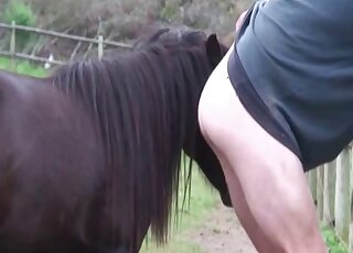 Black horse cock looks so hot after fucking a horny guy outdoors