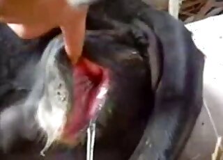 Incredible porn video that shows an oozing animal hole fingered