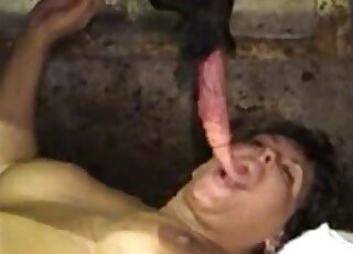 Brunette lady with natural tits is deepthroating a farm animal's cock