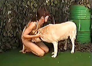 Redhead with cute bangs takes a white dog's cock in her mouth