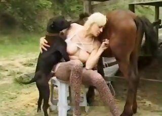Brown stallion and black dog fucking the same lady in a threesome
