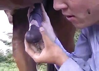 Awesome handjob scene showing a sexy guy that loves big horses