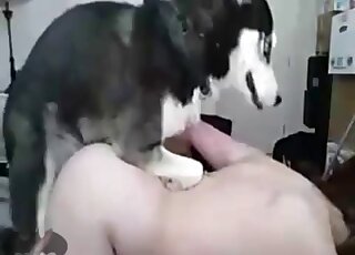 Pale guy with a shapely ass gets fucked from behind by a dog happily