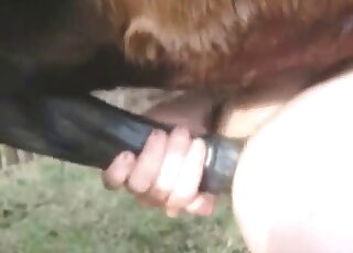 Guy grabs hard horse cock to make this horse fuck his juicy asshole