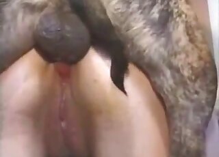 Busty babe pets her pussy before going on all fours for this dog