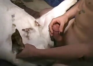 Guy with a firm cock slides inside this white animal's wet vagina