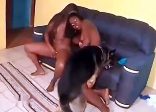 Two ebony sluts enjoy XXX zoo porn session with a dog at home