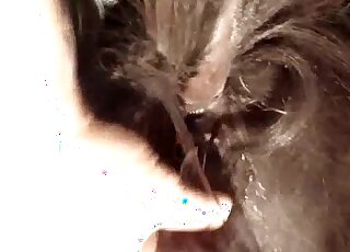 Dude wants to finger a mare's pussy because he loves the moisture