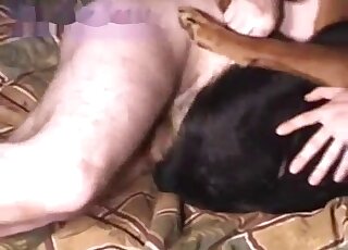 Guy with hairy legs and cock enjoys spooning sex with a black dog