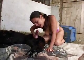 Aroused MILF rides dog dick before treating it with a blowjob
