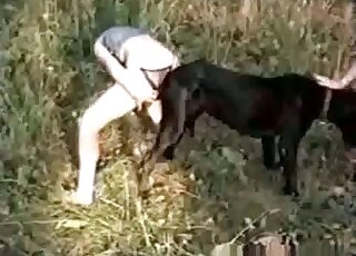 Black dog obviously enjoys receiving a blowjob from zoophile slut