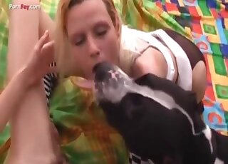 Amateur lesbians are joined by Pit Bull for bestiality threesome