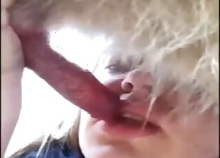 Chubby amateur girl tries sucking dog dick for the first time