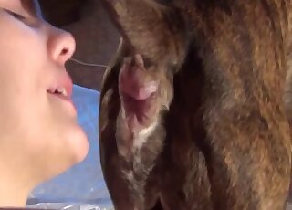 Amateur girl is treating standing dog with blowjob-rimjob combo