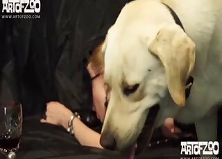 Masked vixen seduced white Labrador into sex by giving him kisses