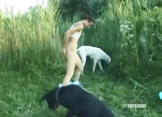 Skinny brunette has outdoor threesome with two dogs in heat