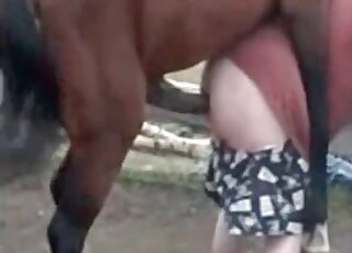 Aroused stallion fucks hard fat bitch during outdoors zoo porn