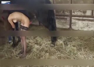 Russian teen in stockings gets rammed by big black horse