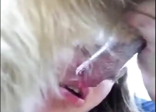 Cum is shooting from dog's dick after blowjob treatment by teen girl