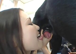 Beautiful Asian girls are tasting stiff dog dick in zoo threesome