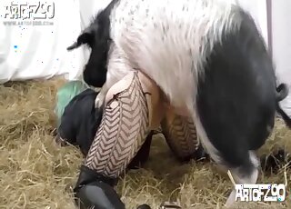 Green-haired chick gets banged and creampied by a fat pig in a barn