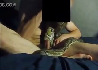 Young hunk gets sexual pleasure from kinky intimacy with snake