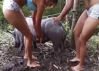 Chubby pig gets cock sucking and rimming from randy MILFs outdoors