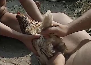 Bestiality porn - Wife helps endowed husband nail the chicken
