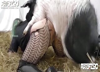 Sexy lingerie lady lets this pig pound her pussy from behind violently