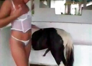 Zoophile babe with small tits gets ready for zoo porn with a horse