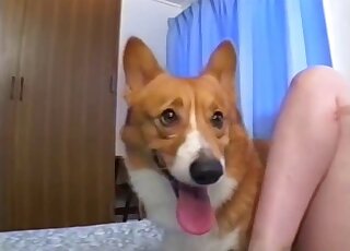 Yellow get-up Japanese chick shows how wet she is for a kinky dog
