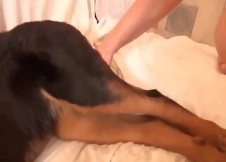 Zoophilia creampie after the blonde tries dog sex in different positions