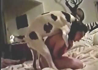 Vintage zoophilia porn with a hot mature slut trying the dog's cock