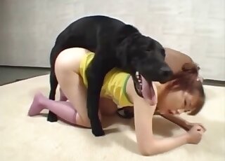 Black dog grants tight Japanese intense porn from behind