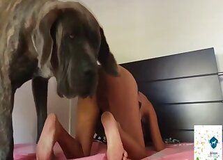 Aroused slut with big tits hard fucked in doggystyle for cam zoophilia