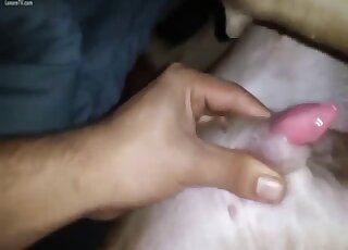 Needy amateur sure craves putting her mouth on the dog's dick