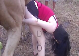 Horse's monster dick leads thirsty amateur woman to supreme XXX