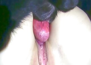 Tight woman fucked by the dog on cam and soaked in fresh jizz
